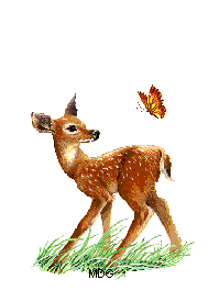 mon coeur toueur pour toi c tu maime!!!!